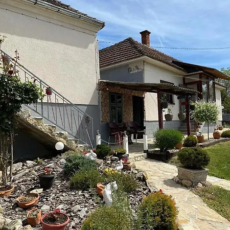 Dolina Mira Holiday home *